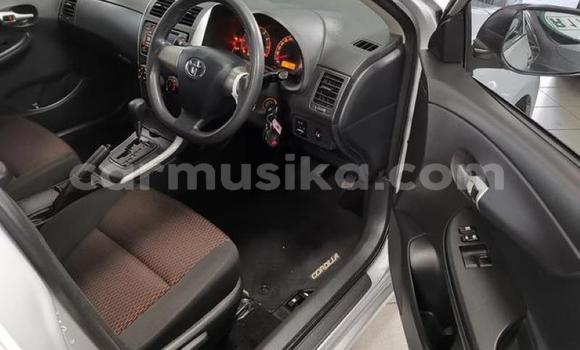 Tenga Tsaru Toyota Corolla Sirivha Mota in Beitbridge in Matabeleland South Tenga Tsaru Toyota Corolla Sirivha Mota in Beitbridge in Matabeleland South