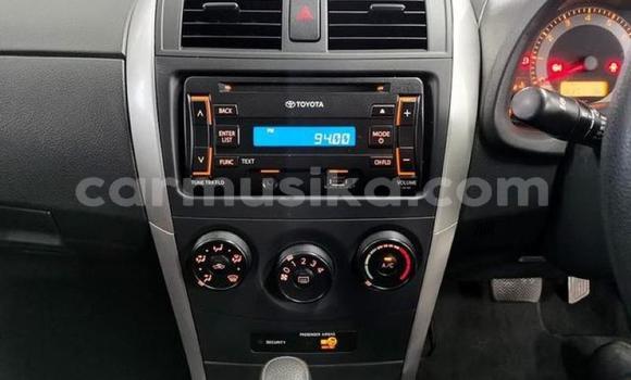 Tenga Tsaru Toyota Corolla Sirivha Mota in Beitbridge in Matabeleland South Tenga Tsaru Toyota Corolla Sirivha Mota in Beitbridge in Matabeleland South