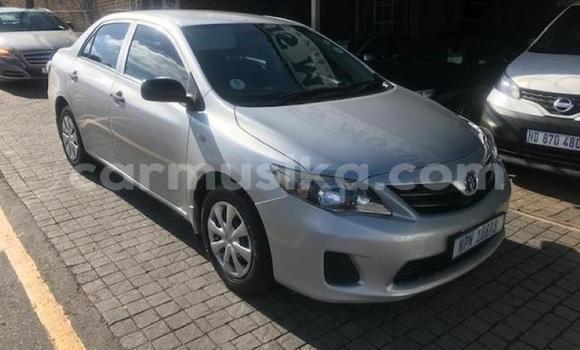 Acheter Occasion Voiture Toyota Corolla Gris à Beitbridge, Matabeleland South Acheter Occasion Voiture Toyota Corolla Gris à Beitbridge, Matabeleland South