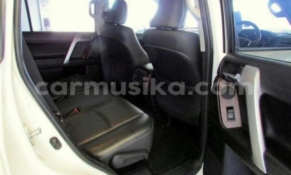 Tenga Tsaru Toyota Land Cruiser Prado Chena Mota in Beitbridge in Matabeleland South Tenga Tsaru Toyota Land Cruiser Prado Chena Mota in Beitbridge in Matabeleland South