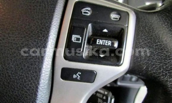 Tenga Tsaru Toyota Land Cruiser Prado Chena Mota in Beitbridge in Matabeleland South Tenga Tsaru Toyota Land Cruiser Prado Chena Mota in Beitbridge in Matabeleland South