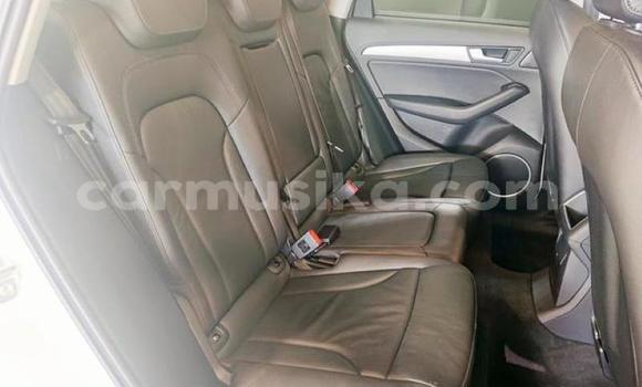 Tenga Tsaru Audi Q5 Chena Mota in Beitbridge in Matabeleland South Tenga Tsaru Audi Q5 Chena Mota in Beitbridge in Matabeleland South