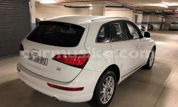 Tenga Tsaru Audi Q5 Chena Mota in Beitbridge in Matabeleland South Tenga Tsaru Audi Q5 Chena Mota in Beitbridge in Matabeleland South