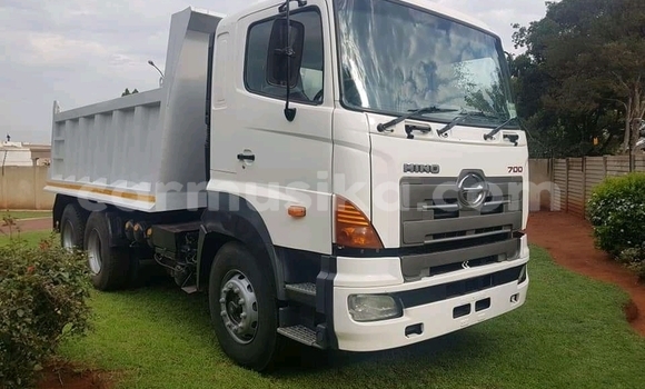 Tenga Tsaru Hino Ranger Chena Rori in Beitbridge in Matabeleland South Tenga Tsaru Hino Ranger Chena Rori in Beitbridge in Matabeleland South