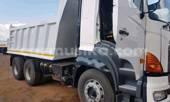 Tenga Tsaru Hino Ranger Chena Rori in Beitbridge in Matabeleland South Tenga Tsaru Hino Ranger Chena Rori in Beitbridge in Matabeleland South