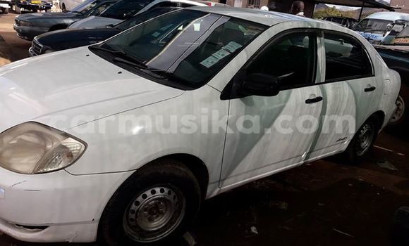Buy Used Toyota Corolla White Car in Mutare in Manicaland Buy Used Toyota Corolla White Car in Mutare in Manicaland