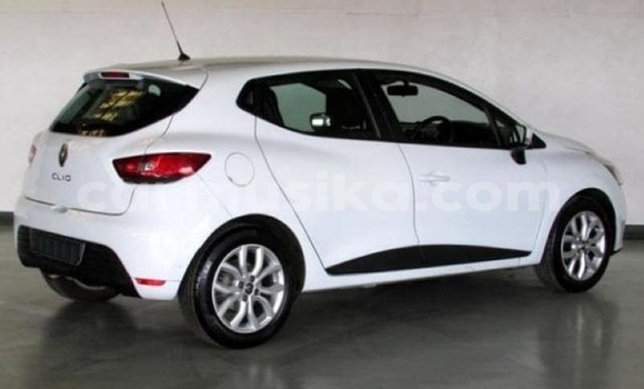 Buy Used Renault Clio White Car in Beitbridge in Matabeleland South Buy Used Renault Clio White Car in Beitbridge in Matabeleland South