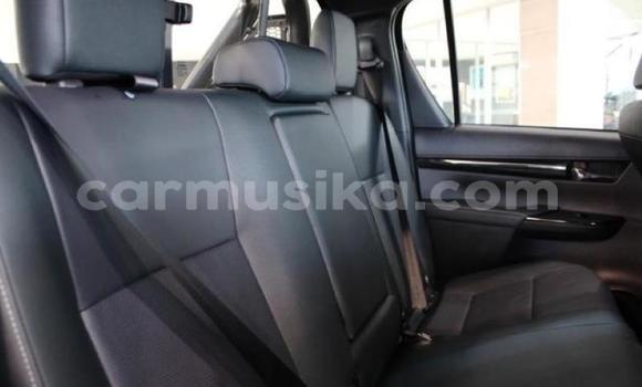 Tenga Tsaru Toyota Hilux Chena Mota in Beitbridge in Matabeleland South Tenga Tsaru Toyota Hilux Chena Mota in Beitbridge in Matabeleland South