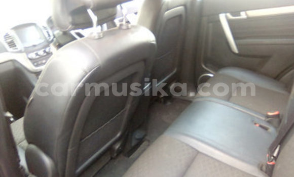 Acheter Occasion Voiture Chevrolet Cruze Autre à Beitbridge, Matabeleland South Acheter Occasion Voiture Chevrolet Cruze Autre à Beitbridge, Matabeleland South