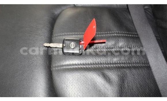 Acheter Occasion Voiture Nissan Pathfinder Gris à Beitbridge, Matabeleland South Acheter Occasion Voiture Nissan Pathfinder Gris à Beitbridge, Matabeleland South