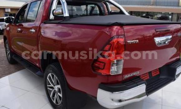 Buy Used Toyota Hilux Red Car in Beitbridge in Matabeleland South Buy Used Toyota Hilux Red Car in Beitbridge in Matabeleland South