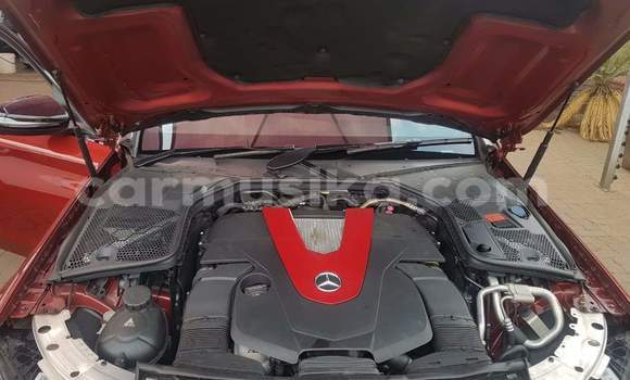 Buy Used Mercedes‒Benz CLA-klasse AMG Red Car in Beitbridge in Matabeleland South Buy Used Mercedes‒Benz CLA-klasse AMG Red Car in Beitbridge in Matabeleland South