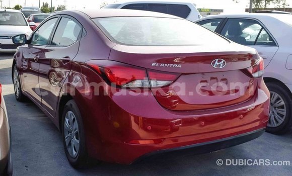 Acheter Import Voiture Hyundai Elantra Rouge à Import - Dubai, Harare Acheter Import Voiture Hyundai Elantra Rouge à Import - Dubai, Harare