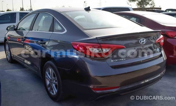 Acheter Import Voiture Hyundai Sonata Marron à Import - Dubai, Harare Acheter Import Voiture Hyundai Sonata Marron à Import - Dubai, Harare