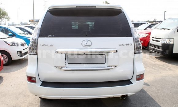 Acheter Import Voiture Lexus GX Blanc à Import - Dubai, Harare Acheter Import Voiture Lexus GX Blanc à Import - Dubai, Harare