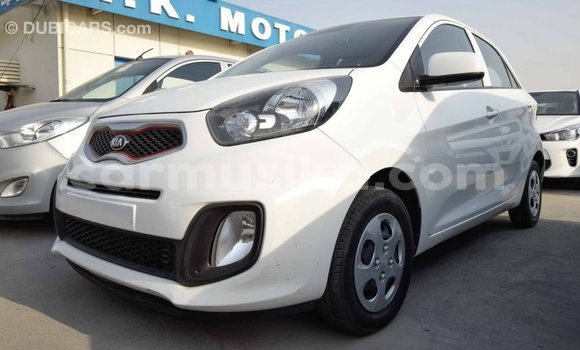 Tenga Imported Kia Picanto Chena Mota in Import - Dubai in Harare Tenga Imported Kia Picanto Chena Mota in Import - Dubai in Harare