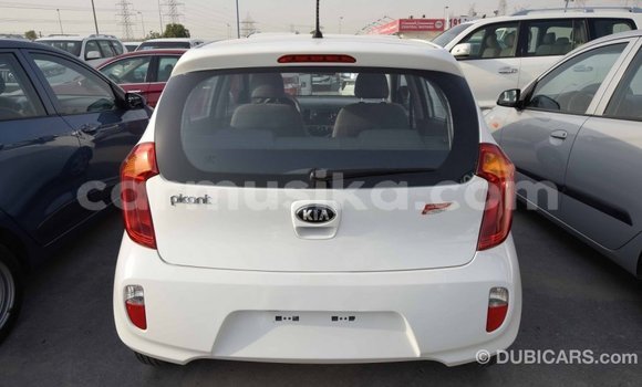 Tenga Imported Kia Picanto Chena Mota in Import - Dubai in Harare Tenga Imported Kia Picanto Chena Mota in Import - Dubai in Harare