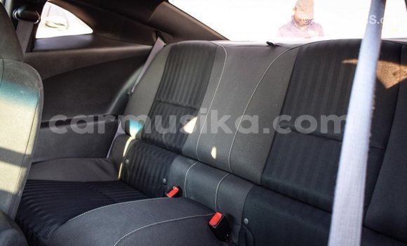 Acheter Import Voiture Chevrolet Camaro Autre à Import - Dubai, Harare Acheter Import Voiture Chevrolet Camaro Autre à Import - Dubai, Harare