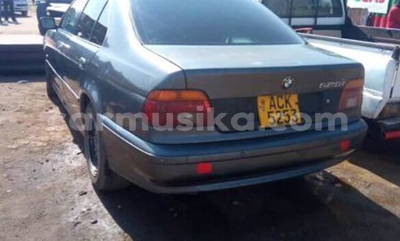 Tenga Tsaru BMW 5–Series Zvimwe Mota in Harare in Harare Tenga Tsaru BMW 5–Series Zvimwe Mota in Harare in Harare