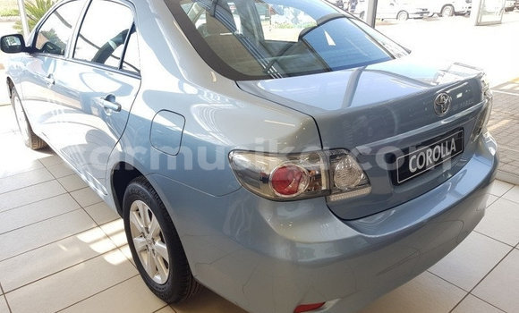 Acheter Occasion Voiture Toyota Corolla Bleu à Beitbridge, Matabeleland South Acheter Occasion Voiture Toyota Corolla Bleu à Beitbridge, Matabeleland South