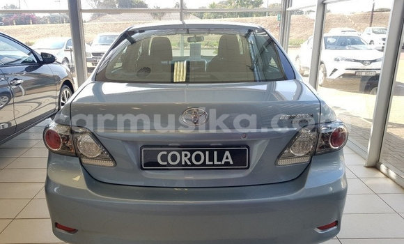 Acheter Occasion Voiture Toyota Corolla Bleu à Beitbridge, Matabeleland South Acheter Occasion Voiture Toyota Corolla Bleu à Beitbridge, Matabeleland South