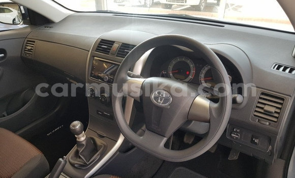 Acheter Occasion Voiture Toyota Corolla Bleu à Beitbridge, Matabeleland South Acheter Occasion Voiture Toyota Corolla Bleu à Beitbridge, Matabeleland South