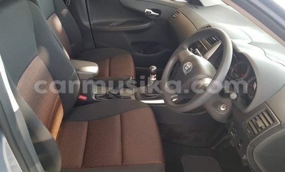 Acheter Occasion Voiture Toyota Corolla Bleu à Beitbridge, Matabeleland South Acheter Occasion Voiture Toyota Corolla Bleu à Beitbridge, Matabeleland South