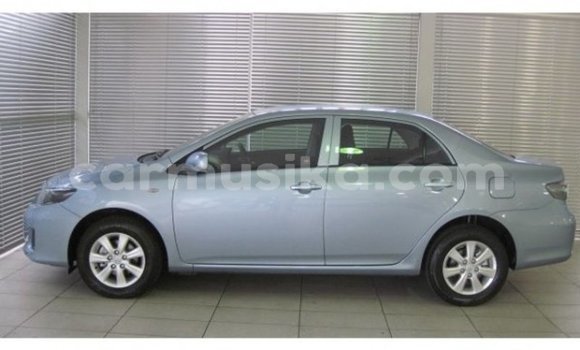 Acheter Occasion Voiture Toyota Corolla Bleu à Beitbridge, Matabeleland South Acheter Occasion Voiture Toyota Corolla Bleu à Beitbridge, Matabeleland South