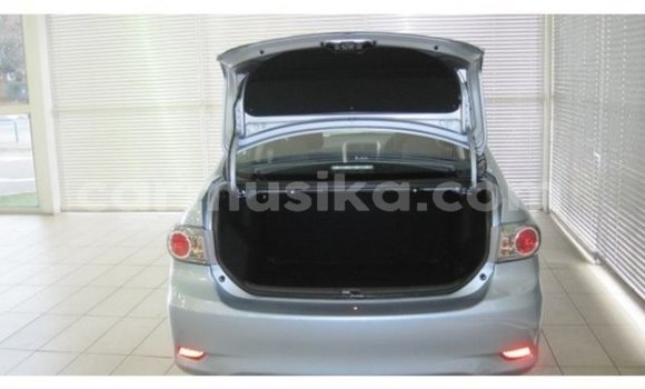 Acheter Occasion Voiture Toyota Corolla Bleu à Beitbridge, Matabeleland South Acheter Occasion Voiture Toyota Corolla Bleu à Beitbridge, Matabeleland South