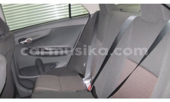 Acheter Occasion Voiture Toyota Corolla Bleu à Beitbridge, Matabeleland South Acheter Occasion Voiture Toyota Corolla Bleu à Beitbridge, Matabeleland South