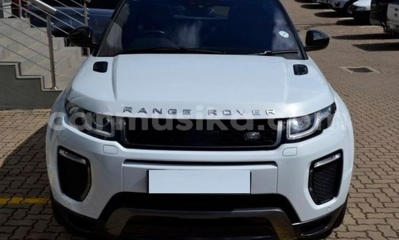 Tenga Tsaru Land Rover Range Rover Evoque Chena Mota in Harare in Harare Tenga Tsaru Land Rover Range Rover Evoque Chena Mota in Harare in Harare