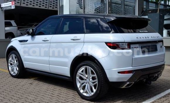 Tenga Tsaru Land Rover Range Rover Evoque Chena Mota in Harare in Harare Tenga Tsaru Land Rover Range Rover Evoque Chena Mota in Harare in Harare