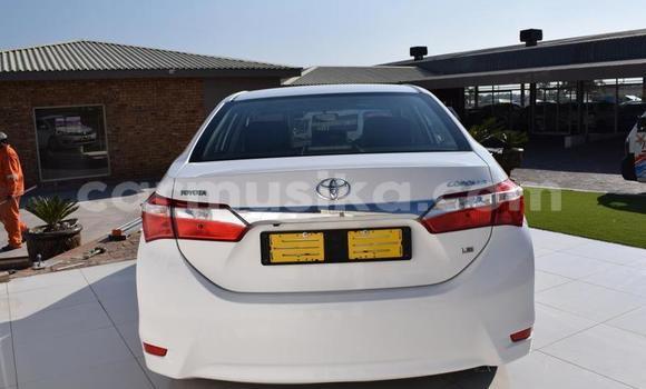 Acheter Occasion Voiture Toyota Corolla Blanc à Beitbridge, Matabeleland South Acheter Occasion Voiture Toyota Corolla Blanc à Beitbridge, Matabeleland South