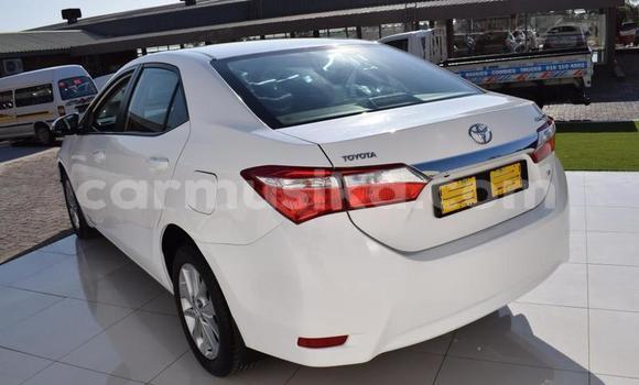 Acheter Occasion Voiture Toyota Corolla Blanc à Beitbridge, Matabeleland South Acheter Occasion Voiture Toyota Corolla Blanc à Beitbridge, Matabeleland South