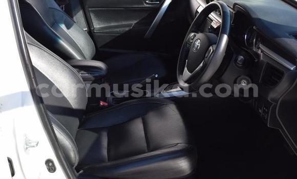 Acheter Occasion Voiture Toyota Corolla Blanc à Beitbridge, Matabeleland South Acheter Occasion Voiture Toyota Corolla Blanc à Beitbridge, Matabeleland South