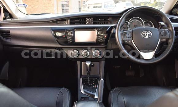 Acheter Occasion Voiture Toyota Corolla Blanc à Beitbridge, Matabeleland South Acheter Occasion Voiture Toyota Corolla Blanc à Beitbridge, Matabeleland South