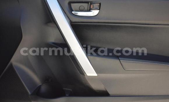 Acheter Occasion Voiture Toyota Corolla Blanc à Beitbridge, Matabeleland South Acheter Occasion Voiture Toyota Corolla Blanc à Beitbridge, Matabeleland South