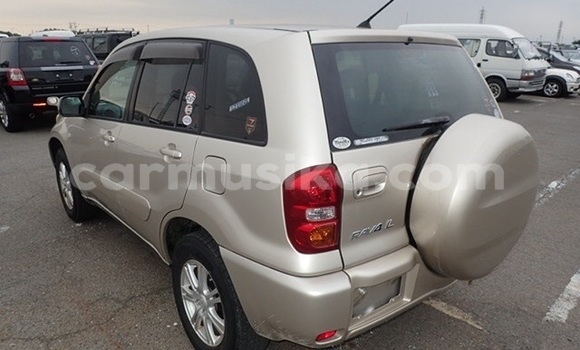 Buy Used Toyota RAV4 Other Car in Beitbridge in Matabeleland South Buy Used Toyota RAV4 Other Car in Beitbridge in Matabeleland South
