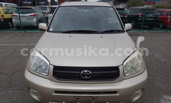 Buy Used Toyota RAV4 Other Car in Beitbridge in Matabeleland South Buy Used Toyota RAV4 Other Car in Beitbridge in Matabeleland South