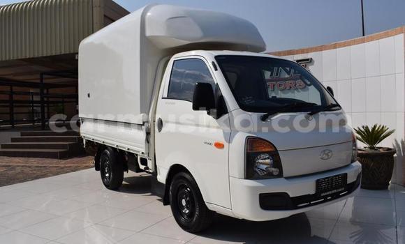 Tenga Tsaru Hyundai H200 Chena Mota in Harare in Harare Tenga Tsaru Hyundai H200 Chena Mota in Harare in Harare