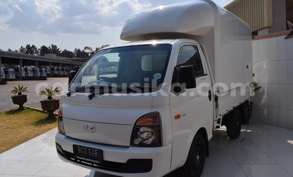 Tenga Tsaru Hyundai H200 Chena Mota in Harare in Harare Tenga Tsaru Hyundai H200 Chena Mota in Harare in Harare