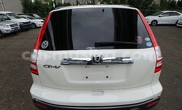 Tenga Tsaru Honda CR–V Chena Mota in Beitbridge in Matabeleland South Tenga Tsaru Honda CR–V Chena Mota in Beitbridge in Matabeleland South