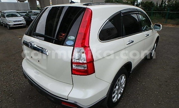 Tenga Tsaru Honda CR–V Chena Mota in Beitbridge in Matabeleland South Tenga Tsaru Honda CR–V Chena Mota in Beitbridge in Matabeleland South