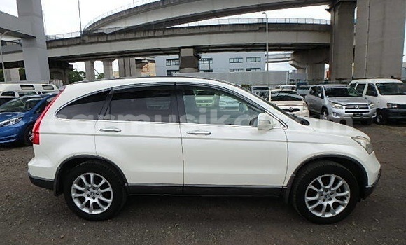 Tenga Tsaru Honda CR–V Chena Mota in Beitbridge in Matabeleland South Tenga Tsaru Honda CR–V Chena Mota in Beitbridge in Matabeleland South