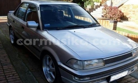 Tenga Tsaru Toyota Corolla Sirivha Mota in Beitbridge in Matabeleland South Tenga Tsaru Toyota Corolla Sirivha Mota in Beitbridge in Matabeleland South