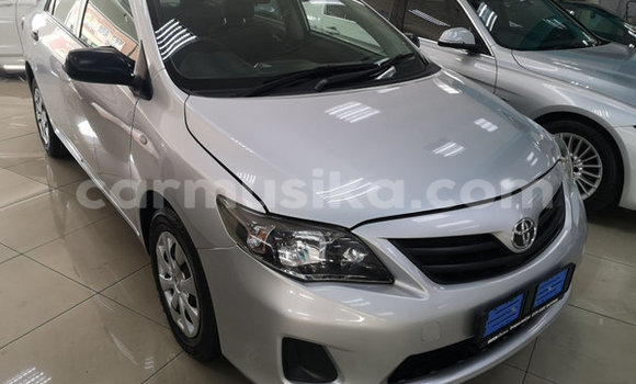 Acheter Occasion Voiture Toyota Corolla Gris à Harare, Harare Acheter Occasion Voiture Toyota Corolla Gris à Harare, Harare
