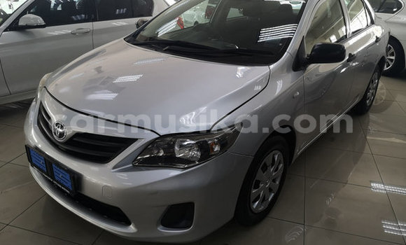 Acheter Occasion Voiture Toyota Corolla Gris à Harare, Harare Acheter Occasion Voiture Toyota Corolla Gris à Harare, Harare