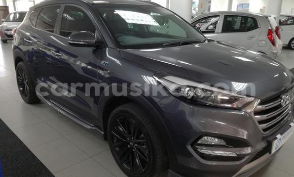 Tenga Tsaru Hyundai Tucson Nhema Mota in Beitbridge in Matabeleland South Tenga Tsaru Hyundai Tucson Nhema Mota in Beitbridge in Matabeleland South