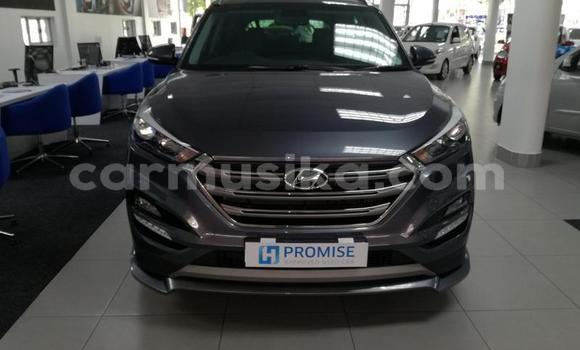 Tenga Tsaru Hyundai Tucson Nhema Mota in Beitbridge in Matabeleland South Tenga Tsaru Hyundai Tucson Nhema Mota in Beitbridge in Matabeleland South