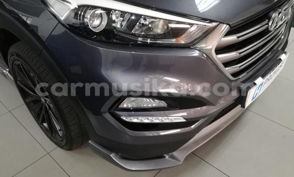 Tenga Tsaru Hyundai Tucson Nhema Mota in Beitbridge in Matabeleland South Tenga Tsaru Hyundai Tucson Nhema Mota in Beitbridge in Matabeleland South